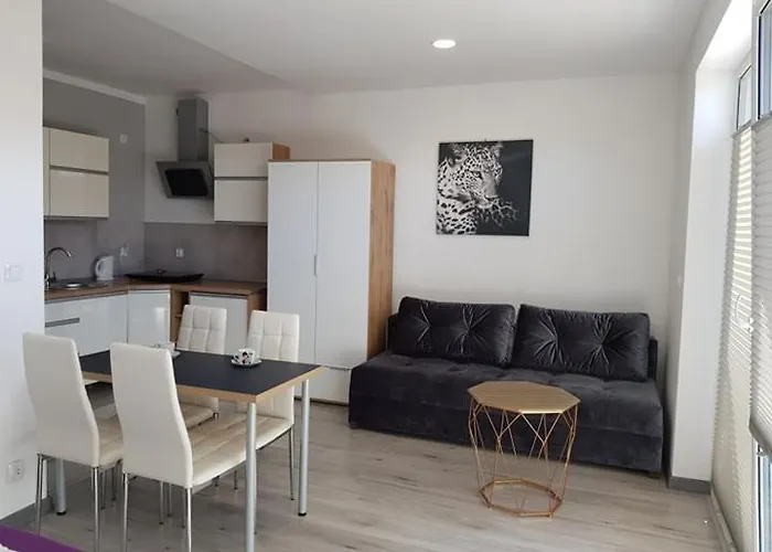 Apartament Kapitana Typu Studio