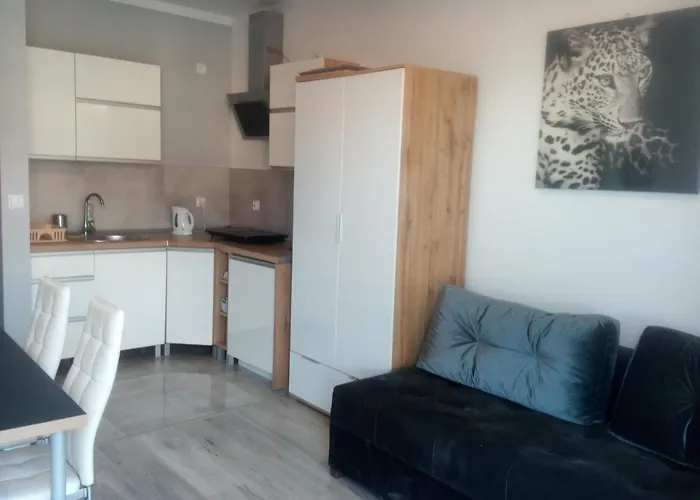 Apartament Kapitana Typu Studio