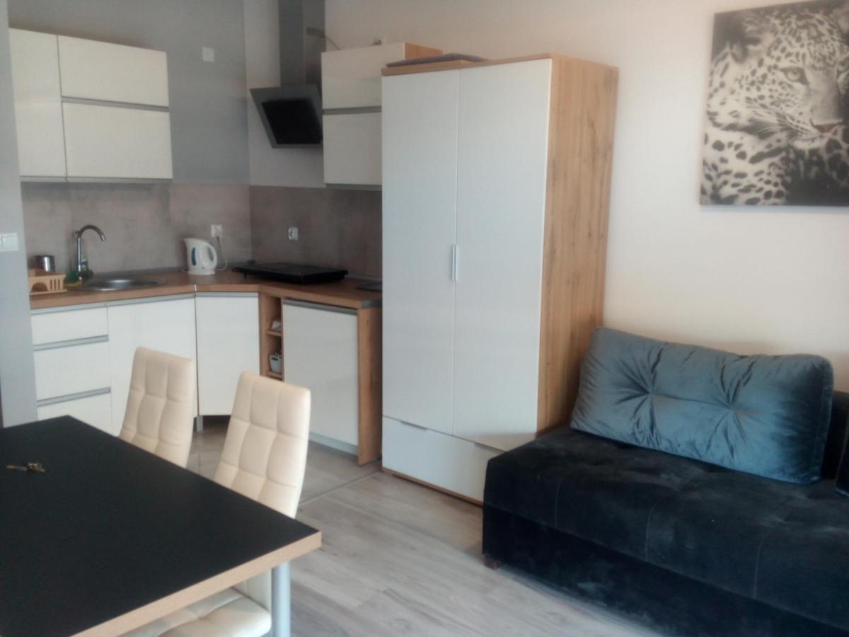 Apartment Kapitana Typu